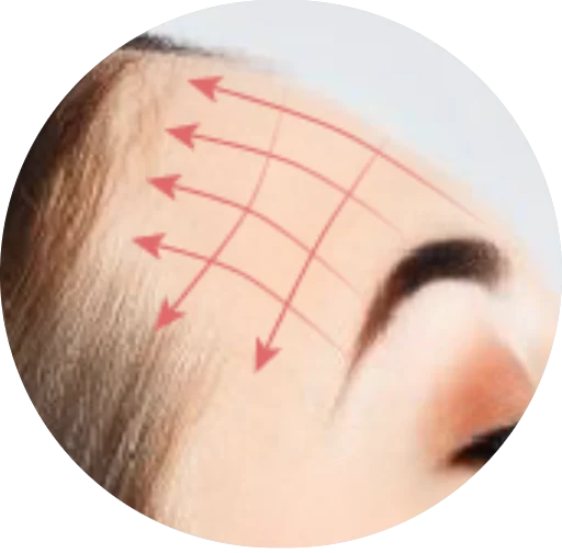 Direcciones del yoga facial en la zona: frente